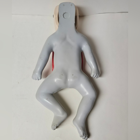 Life/form Basic Buddy Infant Training CPR Manikin - Picture 5 of 6